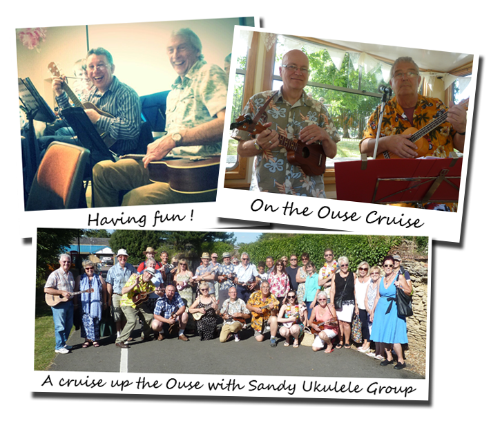 Ukulele Cruise